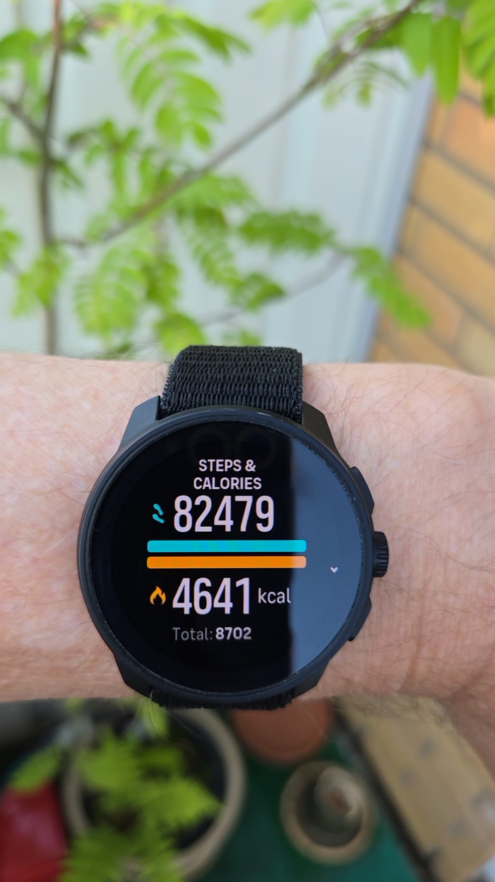 1000008045.jpg