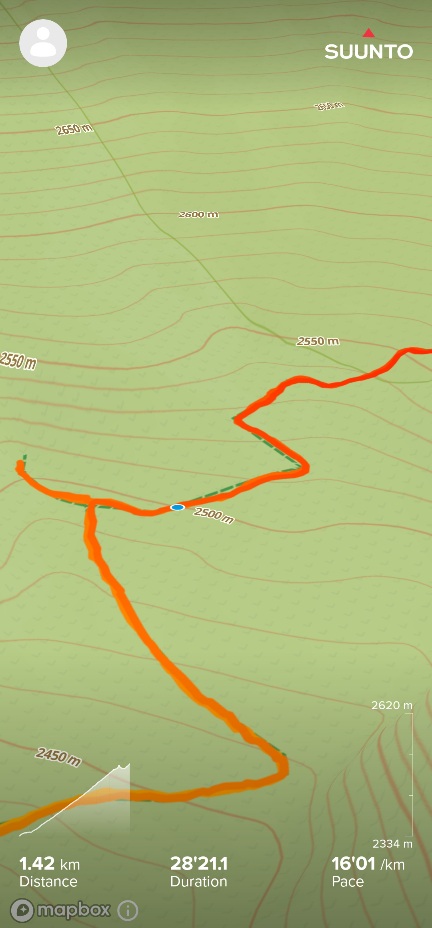 Screenshot_20250704_123142_Suunto(1).jpg