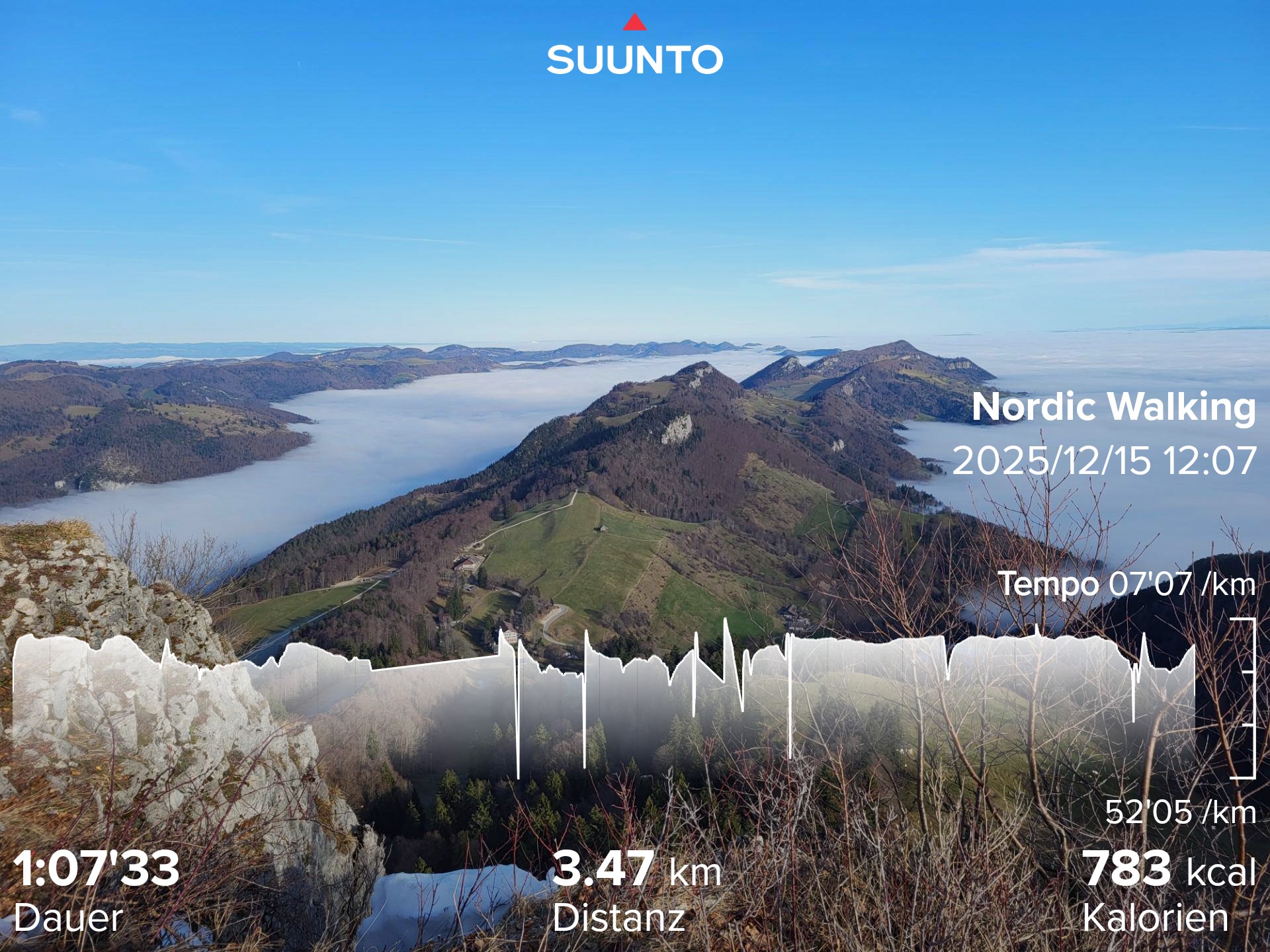 334113fe5e7af4d596c818e1be82f6c (1).jpg