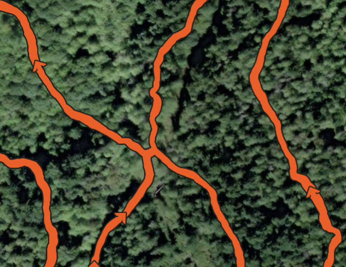 Screenshot 2026-02-21 at 4.34.05 PM.png