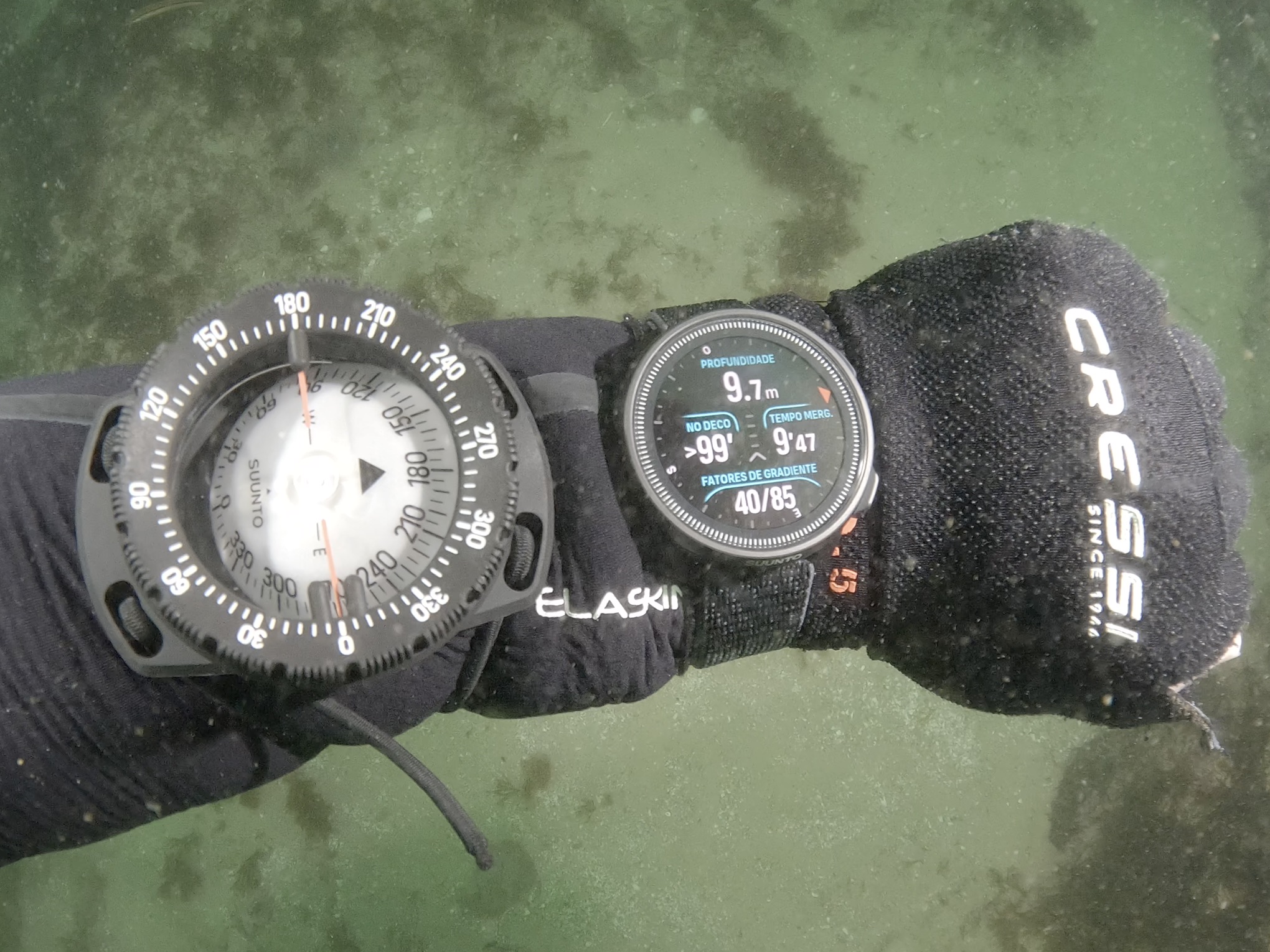 Captura de ecrã 2026-02-28, às 14.19.31.jpeg