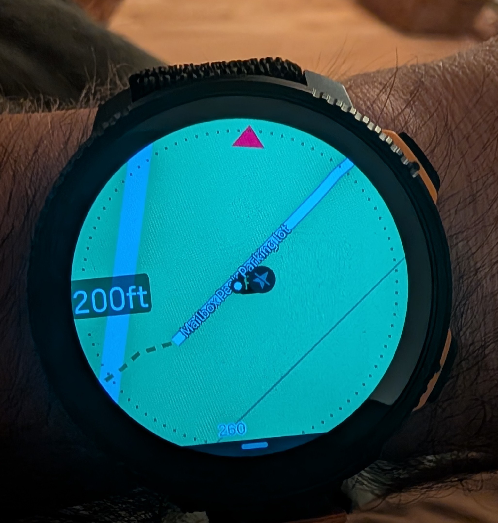 1000005503.jpg